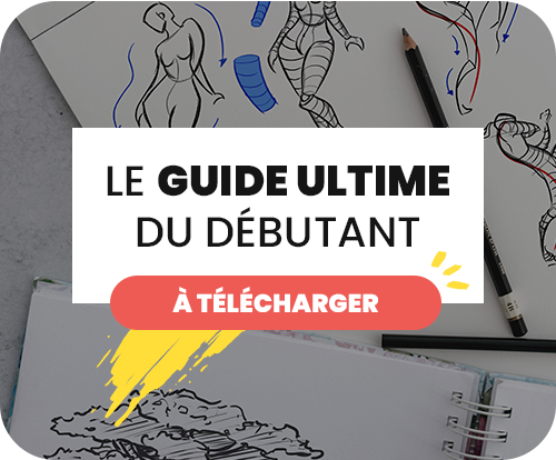 Guide ultime du débutant