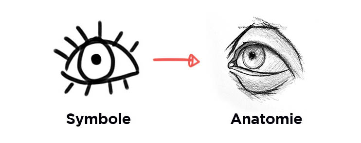 Progresser en dessin, passer du symbole à l'anatomie
